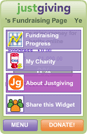 a sample fundraising widget
